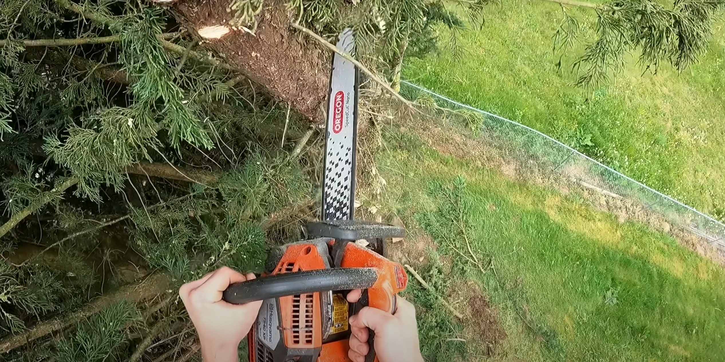 Professional chainsaw operation for safe tree removal
